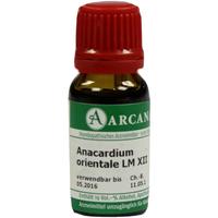Anacardium Orientale Lm 12 null