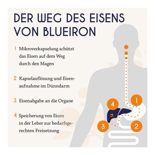 60 St Hager Pharma bei onfy.de kaufen 19834280