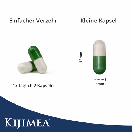 Kijimea Reizdarm pro 14 St Synformulas bei onfy.de kaufen 15999653