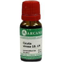 Cicuta Virosa Arca Lm 18 null
