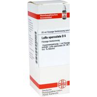 Luffa Opercul D 6 null