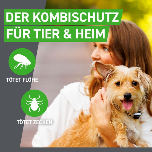 Frontline Combo Spo Hund L 3 St Boehringer Ingelheim Vetmedica Gmbh bei onfy.de kaufen 17558605