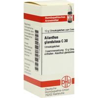 Ailanthus Gland C30 null