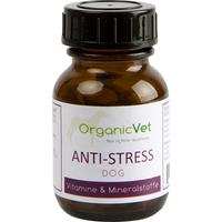Anti-Stress Hund null