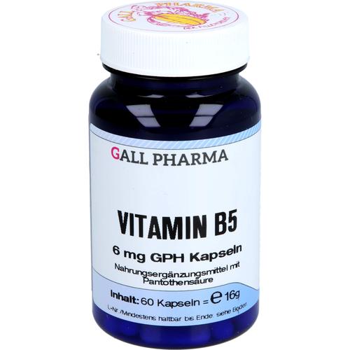 Vitamin B5 6 mg Gph Kapseln 60 St Hecht-Pharma bei onfy.de kaufen 09323271