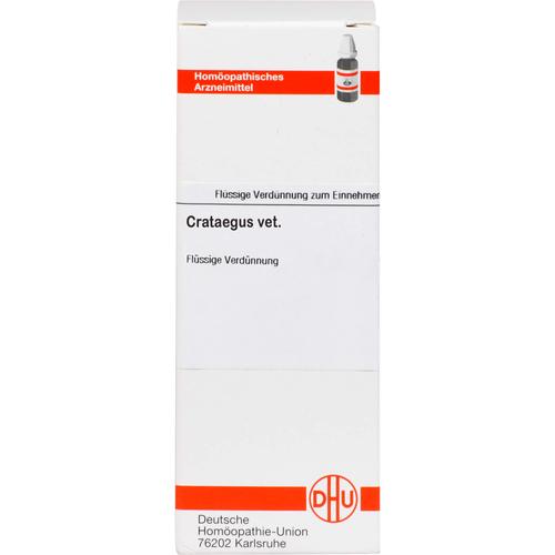 Crataegus Ad Usum Vet 50 ml Dhu-Arzneimittel Gmbh & Co. Kg bei onfy.de kaufen 02728237