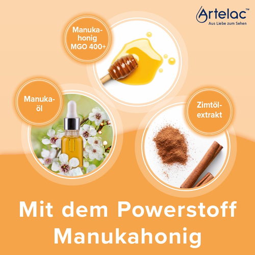Artelac Augenlidhelfer 15 g Dr. Gerhard Mann bei onfy.de kaufen 19924468