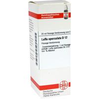 Luffa Opercul D12 null