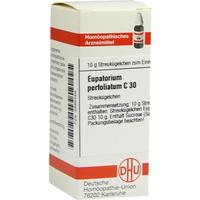 Eupatorium Perf C30 null