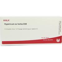 Hypericum Ex Herba D30 null
