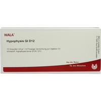 Hypophysis Gl D12 null
