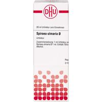 Spiraea Ulmar Urt null