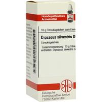 Dipsacus Silvestris D30 null