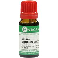 Lilium Tigrinum Arca Lm 18 null