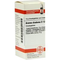 Aranea Diadema D12 null