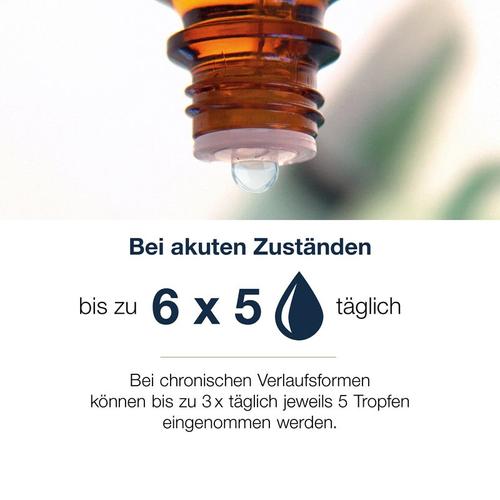 Restaxil 30 ml PharmaSGP bei onfy.de kaufen 12895108