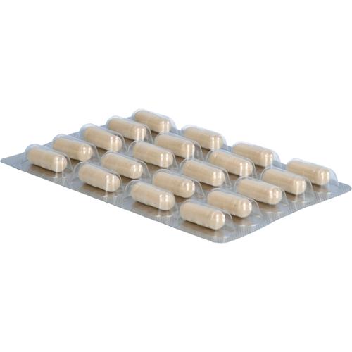 Darmflora Plus Select Complex 80 St Dr. Wolz Zell bei onfy.de kaufen 18084635