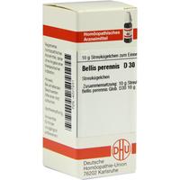 Bellis Perennis D30 null
