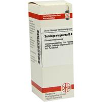 Solidago Virga D 4 null