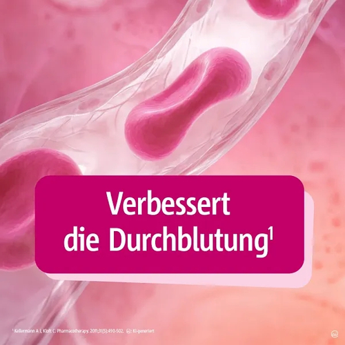 Tebonin Konzent 240mg 80 St Dr.Willmar Schwabe bei onfy.de kaufen 02293816
