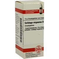 Solidago Virga D 2 null