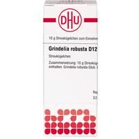 Grindelia Robusta D12 null