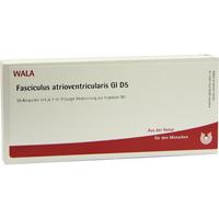 Fasciculus Atrioven Gl D 5 null