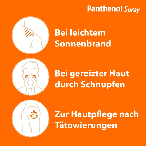 Panthenol 130 g Dr. Gerhard Mann bei onfy.de kaufen 04020784