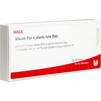 Viscum Pini E Planta Tota D40 null