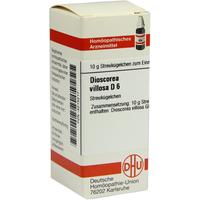 Dioscorea Villos D 6 null