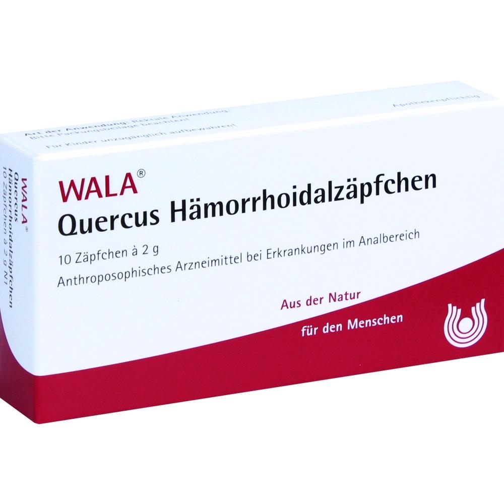 Quercus-Haemorrhoidalzaepf null