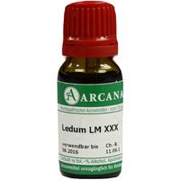 Ledum Arca Lm 30 null