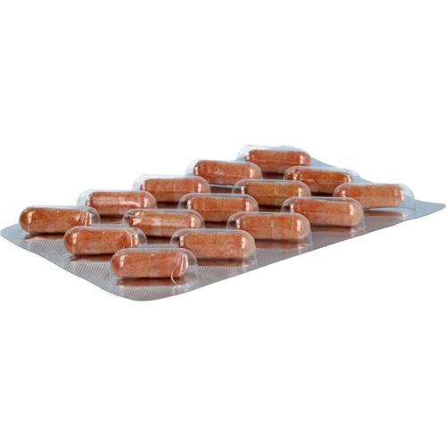 Beh Homocystein Extra 30 St IMstam healthcare bei onfy.de kaufen 19093702