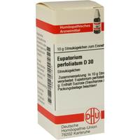 Eupatorium Perf D30 null