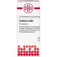 Cantharis Lm Vi null