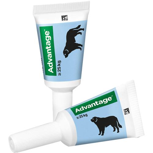 Advantage 400 Hund Pipette 1x4 St Elanco Deutschland Gmbh bei onfy.de kaufen 00334178