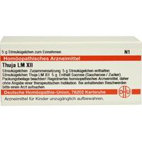 Thuja Lm Xii null