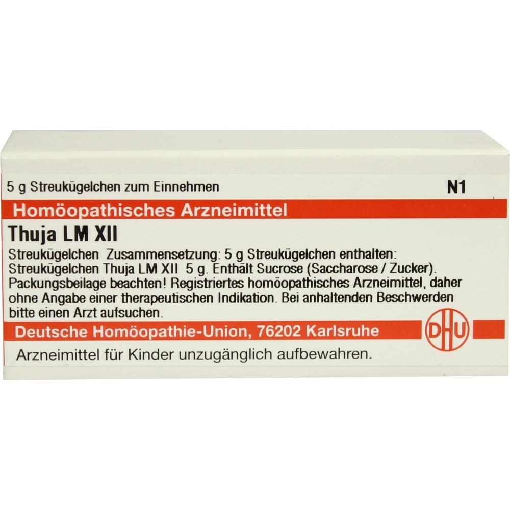 Thuja Lm Xii null
