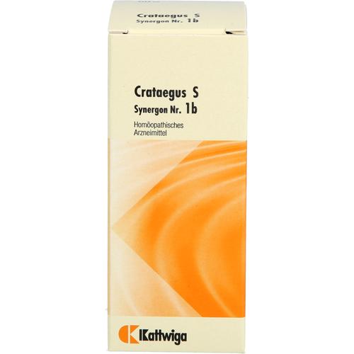 Synergon Komplex Crataegus S Nr. 1B 50 ml Kattwiga Arzneimittel bei onfy.de kaufen 19184741