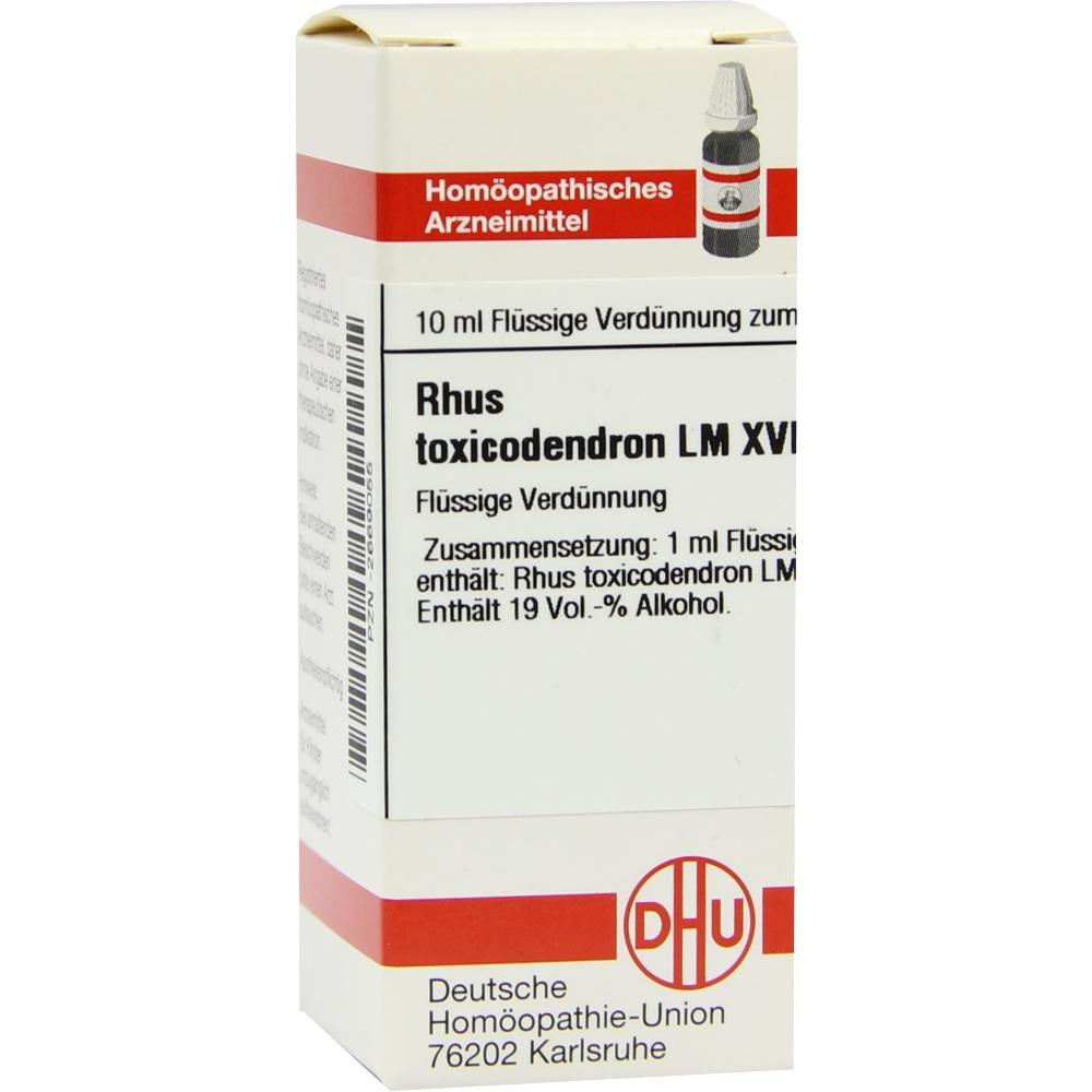 Produktvorschau