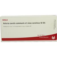 Arteria Ca Co E S C Gl D 5 null