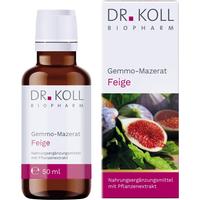 Gemmo-Mazerat Feige Dr. Koll Ficus Carica null