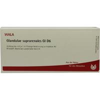Glandulae Supraren Gl D 6 null