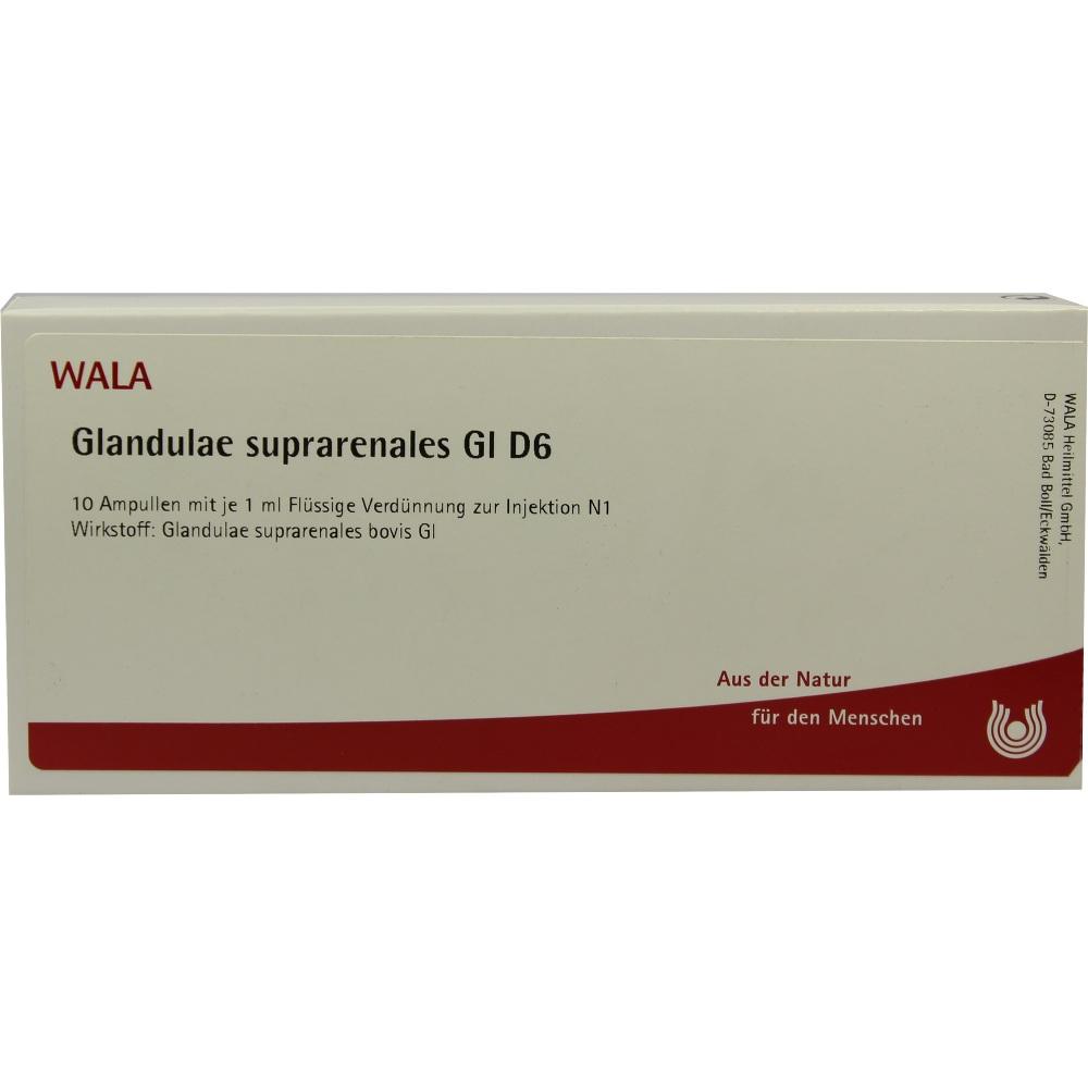 Glandulae Supraren Gl D 6 null