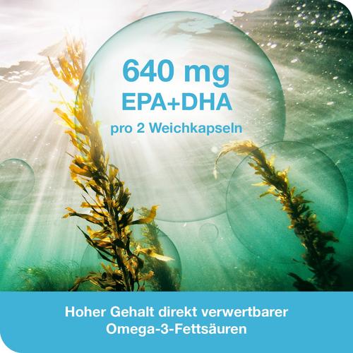 Omega3-Loges Pflanzlich 120 St Dr. Loges bei onfy.de kaufen 13980425