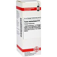 Fucus Vesicul D 6 null