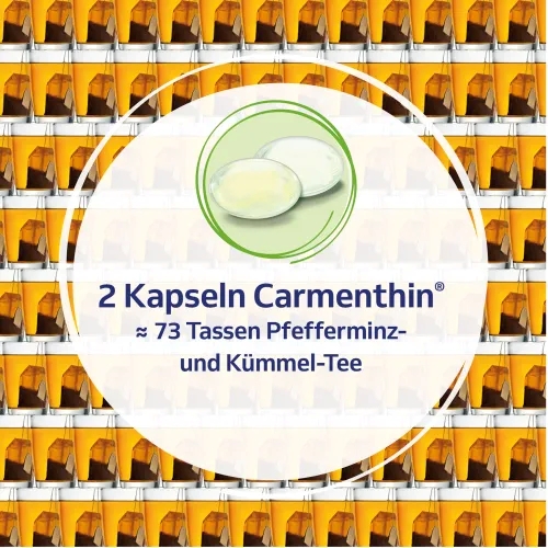Carmenthin bei Verdauungsstörungen Weichkapsel 42 St Dr.Willmar Schwabe bei onfy.de kaufen 10327618