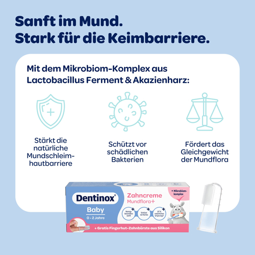Dentinox Zahncreme Mundflora Baby 30 ml Dentinox Gesellschaft für pharmazeutische Präparate bei onfy.de kaufen 19401368