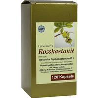Rosskastanie Kapseln null