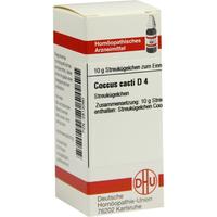 Coccus Cacti D 4 null